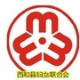 陇南西和妇联ico