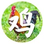生肖鸡运势大全ico
