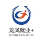 龙凤就业ico