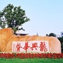 上海中医药大学附属龙华医院ico