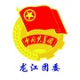 龙江团委ico