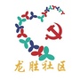 龙胜社区ico