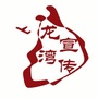 龙湾宣传ico