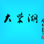 魅力大柴湖ico