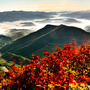 固原市六盘山林业局ico