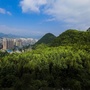 六盘水市林业局公众号ico