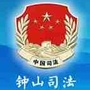 钟山司法ico
