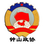 钟山政协ico