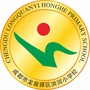 洪河小学ico