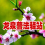 龙泉普法驿站ico