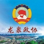 龙泉政协ico
