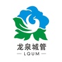 龙泉驿城市管理ico