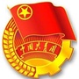 龙泉驿公平村青年ico