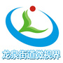 龙泉街道微视界ico