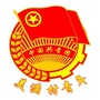 龙泉驿美满村青年ico