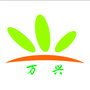 绿色万兴ico