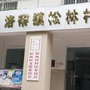 龙泉驿松林村青年ico