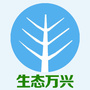 生态万兴ico