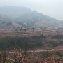 龙泉驿元包村青年ico