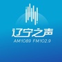 LRTV辽宁之声公众号ico