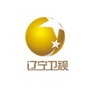 辽宁卫视广告部公众号ico