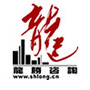 龙胜咨询ico