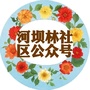 河坝林社区公众号ico