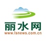 丽水网ico