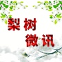梨树微讯ico