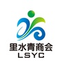 里水青年商会ico