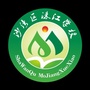 乐山沙湾沫江学校ico