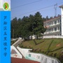 芦淞区五里墩中学ico