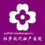 西藏现代妇产医院ico