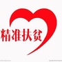 洛塘综合服务公众号ico