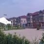 龙腾虎跃百家和乐ico