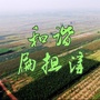 和谐扁担沟ico