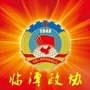 临潭政协ico