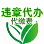 绿林车务ico