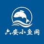 六安小鱼网ico