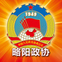 略阳政协ico