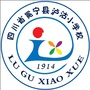 泸沽小学ico