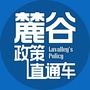 麓谷政策直通车ico
