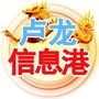 卢龙信息港ico