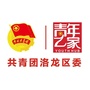 团洛龙区委ico