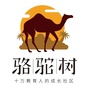 骆驼树ico