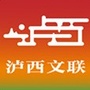 泸西文联ico