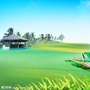 绿岛公社ico