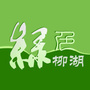 绿色柳湖ico