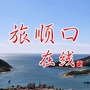旅顺口在线公众号ico