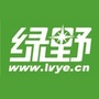 绿野网ico